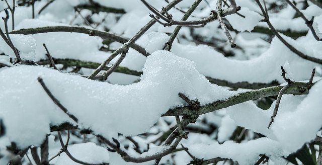 海外「日本人が作った結果・・・」日本のさっぽろ雪まつりで製作された大雪像がスゴいと注目