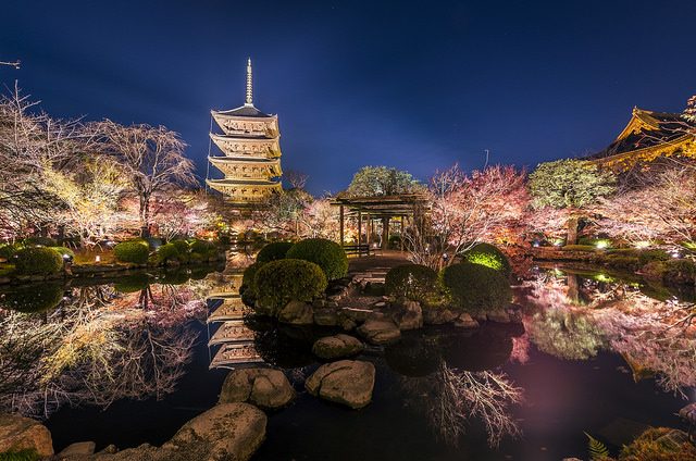 外国人が撮影したライトアップした東寺の写真が美しい（海外の反応）