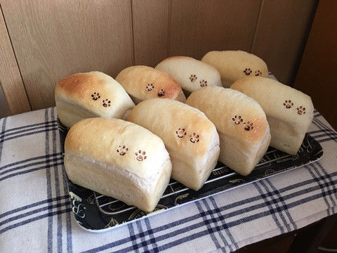 仲良くパンを食べる日本の子どもと犬たち（海外の反応）