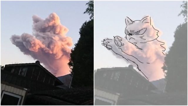 日本の火山の噴煙がまるで猫が飛んでいるかのように見える（海外の反応）