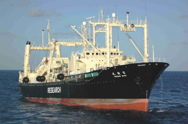 日本の調査捕鯨船団、妨害受けず333頭捕獲（海外の反応）