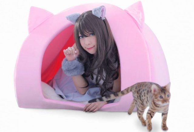 日本で「人間用ペットハウス」が発売される（海外の反応）