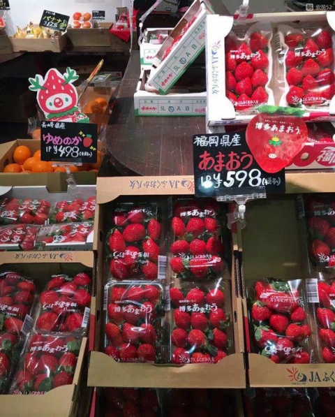中国人「日本の果物はメチャクチャ高い」　中国の反応