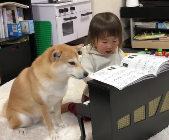 リサイタルを行う日本の少女と見守る犬（海外の反応）