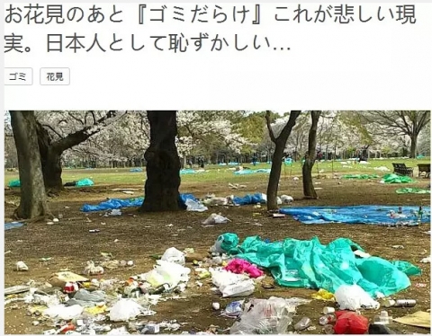 中国人「日本人は花見の時にはゴミ拾いしないのに、なんで海外ではゴミ拾いしてるの？」