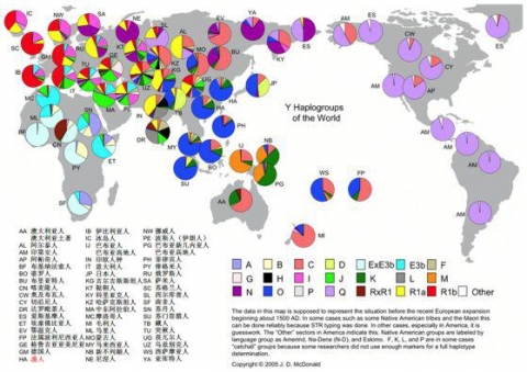 中国人「日本人の祖先についての考察」　中国の反応
