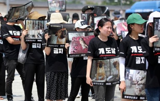韓国人「犬食反対団体、犬の死体を掲げて犬肉禁止を訴える」