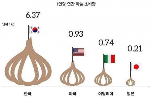 韓国人「ニンニクの国。日本猿はニンニクを米国より少なく食べるんですね」