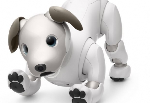 韓国人「ソニー、犬ロボット『アイボ』9月から米国で販売」「韓国も販売するでしょうか？」