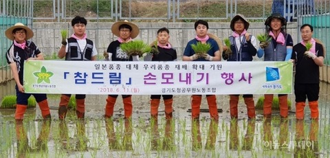 韓国を代表する米ブランド『京畿米』の7割が日本品種