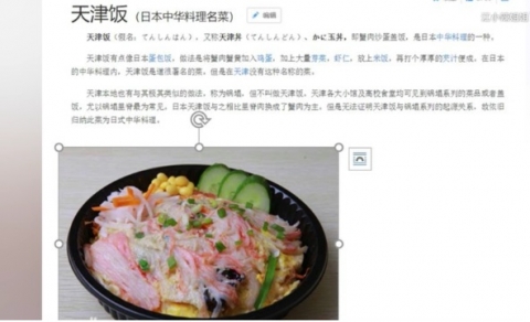日本人「天津飯の起源は日本だ」　中国人「天津に天津飯そっくりの料理があるけど、関係性が証明できないので日本起源でいいよ」　中国の反応