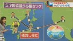 韓国人「日本の深刻な錯覚。ブルブル」「全ての放送がTV朝鮮化した国です」