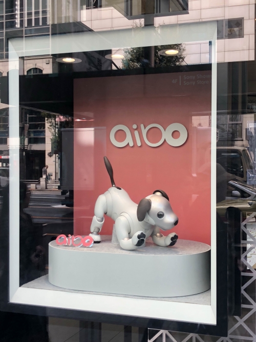 韓国人「ソニー「aibo」の購入に成功しました。めちゃくちゃハードル高かった…」