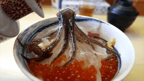 韓国人「奇妙な日本のイカの刺身の丼ブルブルブル」