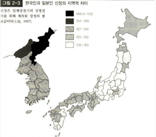 韓国人「1937年の日本人vs韓国人の圧倒的な体格差」
