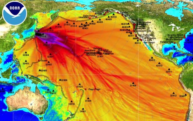韓国人「韓国で広く拡散している日本の放射能海洋汚染画像の真実を教えよう」