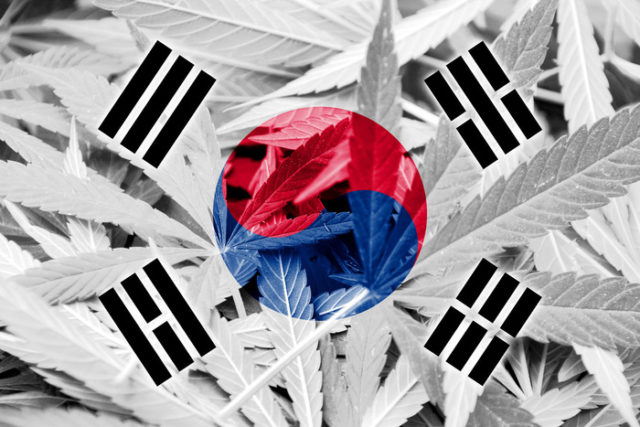韓国「カナダで大麻を吸った韓国人は必ず逮捕する」（海外の反応）