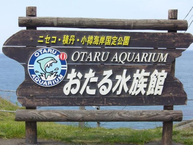 日本の水族館にいるアザラシが怖すぎる（海外の反応）