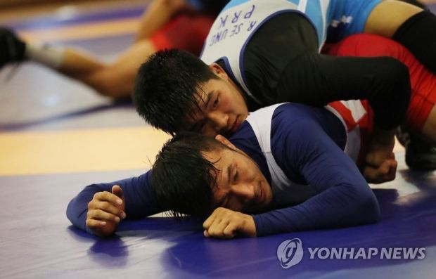 韓国人「レスリングまでも…東京オリンピックに向けて着々と推進される南北単一チーム化」