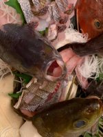 韓国人「日本の刺身…魚は見せてくれなくてもいいのに…」「怖い…(泣)」