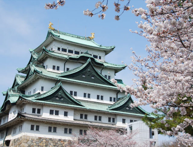 名古屋城の天守閣復元に樹齢400年以上のアカマツ使用へ（海外の反応）
