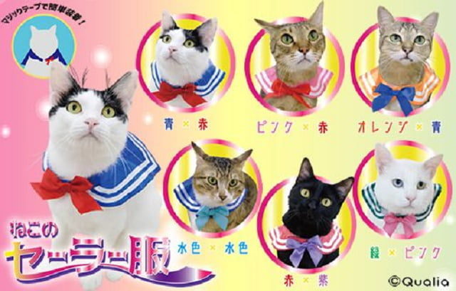日本で「ねこのセーラー服」が発売される（海外の反応）
