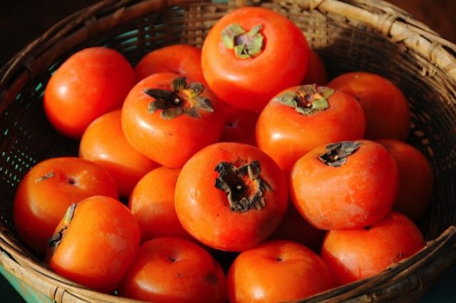 和歌山県産柿の米国での販売が拡大（海外の反応）