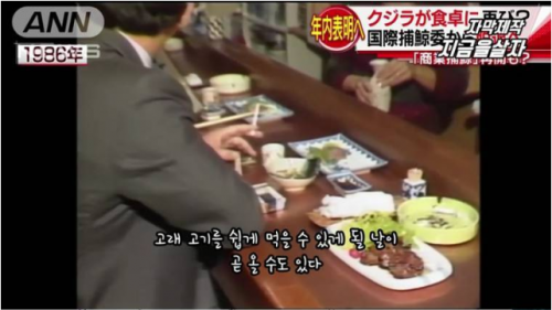 韓国人「日本の捕鯨の近況」「相変わらずダブルスタンダードな国だな…」