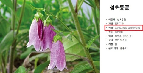 【竹島問題】 独島自生の花の学名に「竹島」がついてるなんて～バンク、韓国式名称に変える「韓国の花」プロジェクト進行中