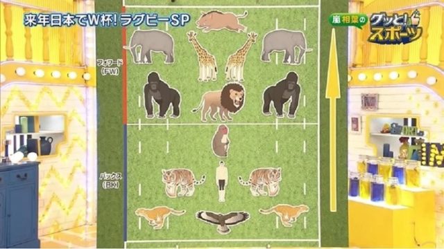 日本のテレビ番組がラグビーの各ポジションを動物を使って説明していた（海外の反応）