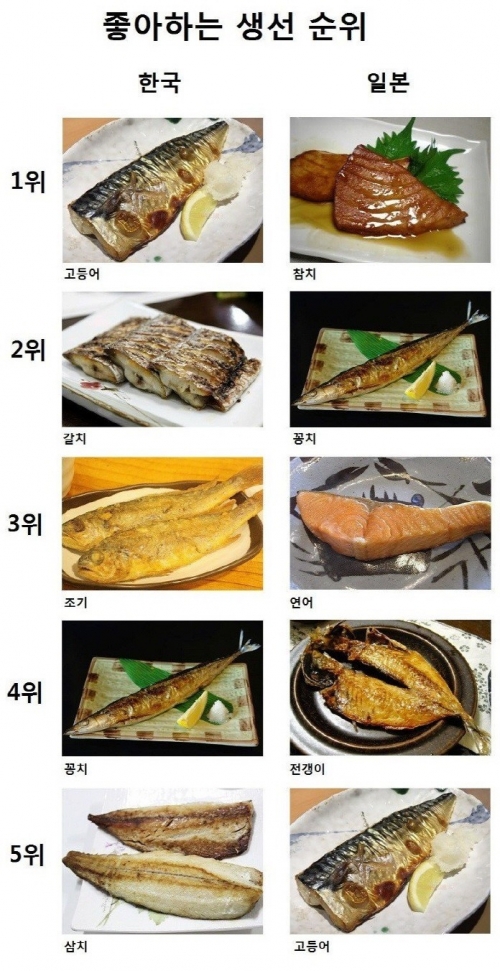 韓国人「韓国、日本の好きな魚の順位」