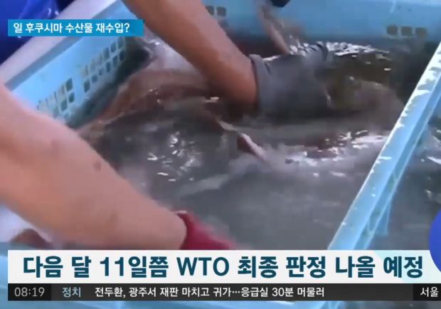 福島産水産物、再び韓国に入ってくるか…WTO来月最終判定＝韓国の反応