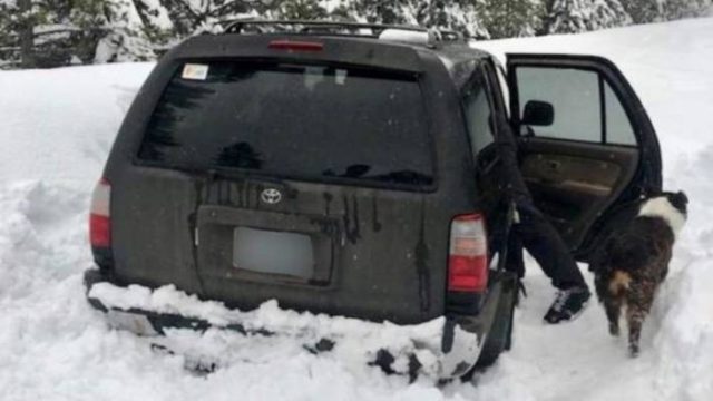 （米）大雪で5日間立ち往生の男性、タコスのソースで生き延びる（海外の反応）