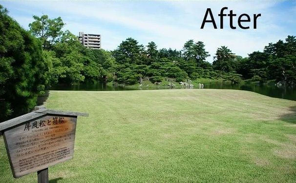ゴミ拾い前とゴミ拾い後の日本の公園（海外の反応）