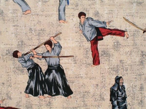 中国人「日本の剣道を長年やって気付いた。中国武術はゴミ」　中国の反応
