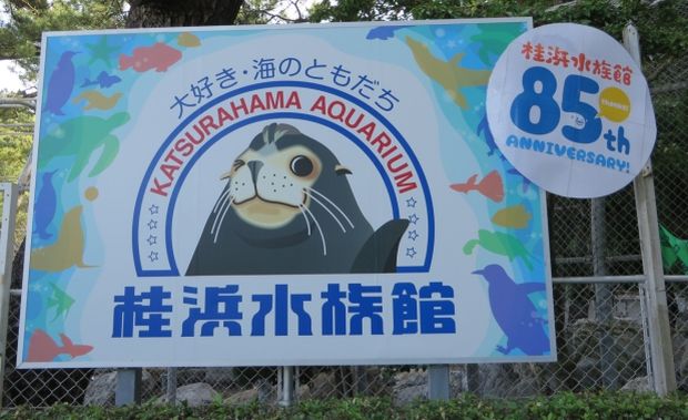 韓国人「人気のない日本の水族館に勤める職員がツイッター投稿した内容がおもしろすぎる件ｗｗｗｗ」