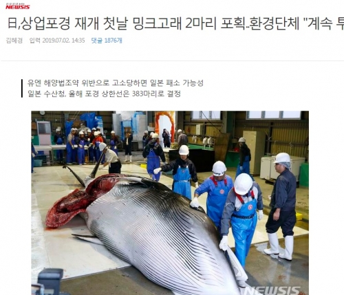 韓国人「なぜ日本は生きてる鯨を捕らえて食べるのですか？」「人類の敵ですね」　日本、商業捕鯨再開初日にミンククジラ2頭捕獲
