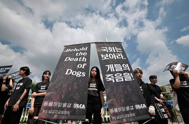 （韓国）犬食反対集会の横で養犬業者が犬肉を食べて反撃（海外の反応）