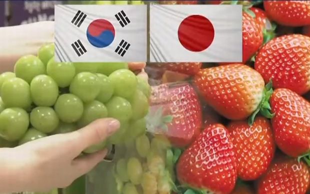 イチゴ・ブドウに戦争拡大？日本「韓国が日本産を無断栽培」と突拍子もない主張＝韓国の反応