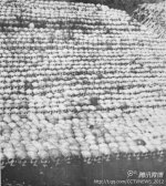 中国人「日本軍の虐殺の写真をご覧ください」