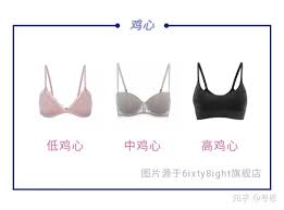 在日中国人女性「日本人女性は貧乳が多いのか？日本のブラのFカップは中国のCカップくらいの大きさだ」　中国の反応