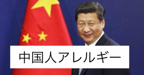 中国人「日本人は中国人を嫌うのに、華人ばかりの台湾やシンガポールに対してはそうでもない」
