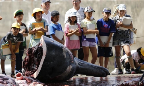 中国人「日本では子供に鯨解体現場を見せている」