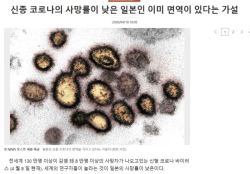 韓国人「新型コロナの死亡率が低い日本で出回ったコロナの仮説」