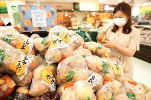 韓国人「我々が毎日食べる玉ねぎ、日本産種子だった…」