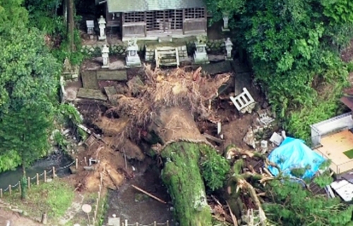 韓国人「日本が丸ごと転覆する兆候！豪雨で厚さ11mの神木が倒れる」→「厚さ11mって何…？」