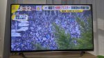 韓国人「日本、韓国の感染対策の素晴らしさと、それでも集団感染を拡大させた保守のチョン・グァンフン牧師を報道」