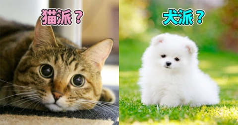 中国人「日本人は猫派なのか？犬があまり人気ない気がする」　中国の反応
