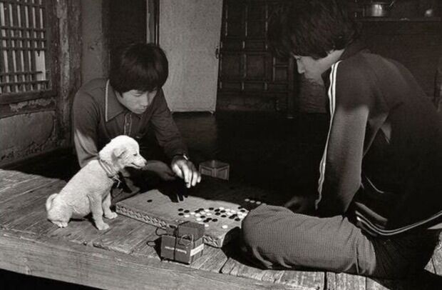 韓国人「本当の意味で犬と人間が共存していた1970年代の韓国を見てみよう」
