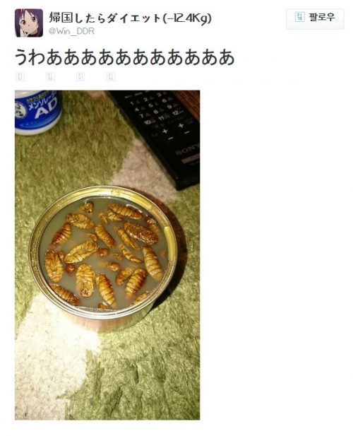 韓国人「蛹の缶詰を開けて衝撃を受けた日本人」「これは日帝残滓なんだが？」←「違うようだが…」